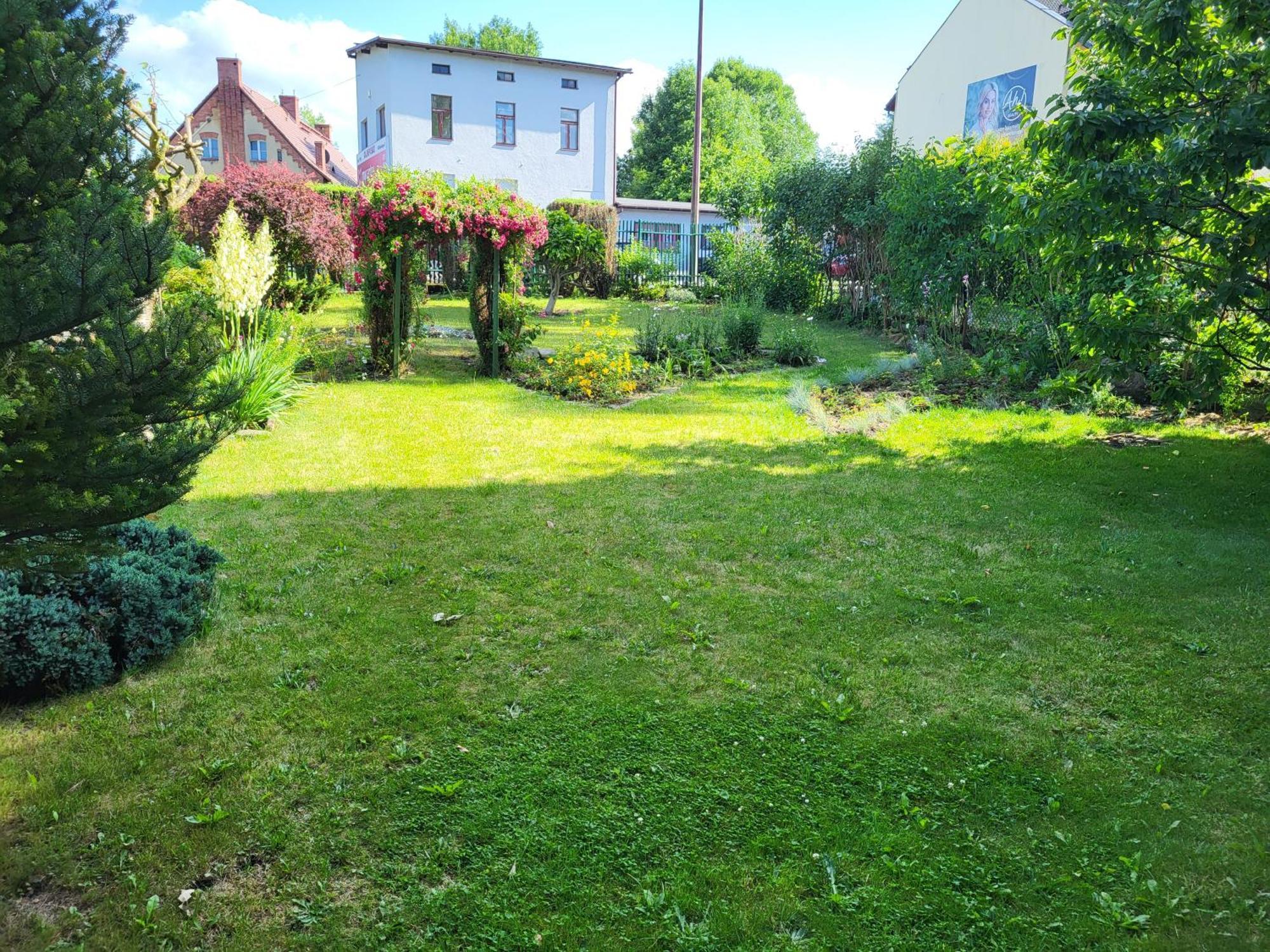 Ivlo Apartment Pszczyna
